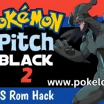 Pokemon-Pitch-Black-2